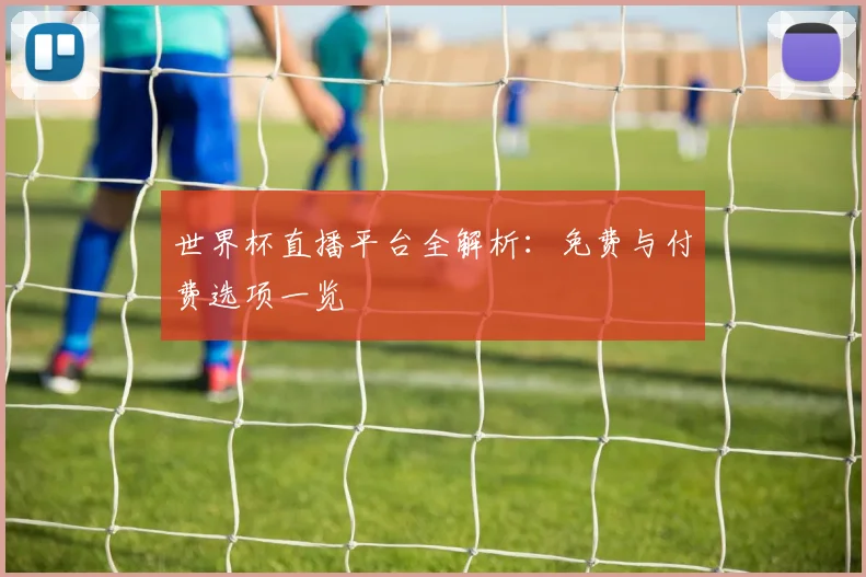 世界杯直播平台全解析:免费与付费选项一览